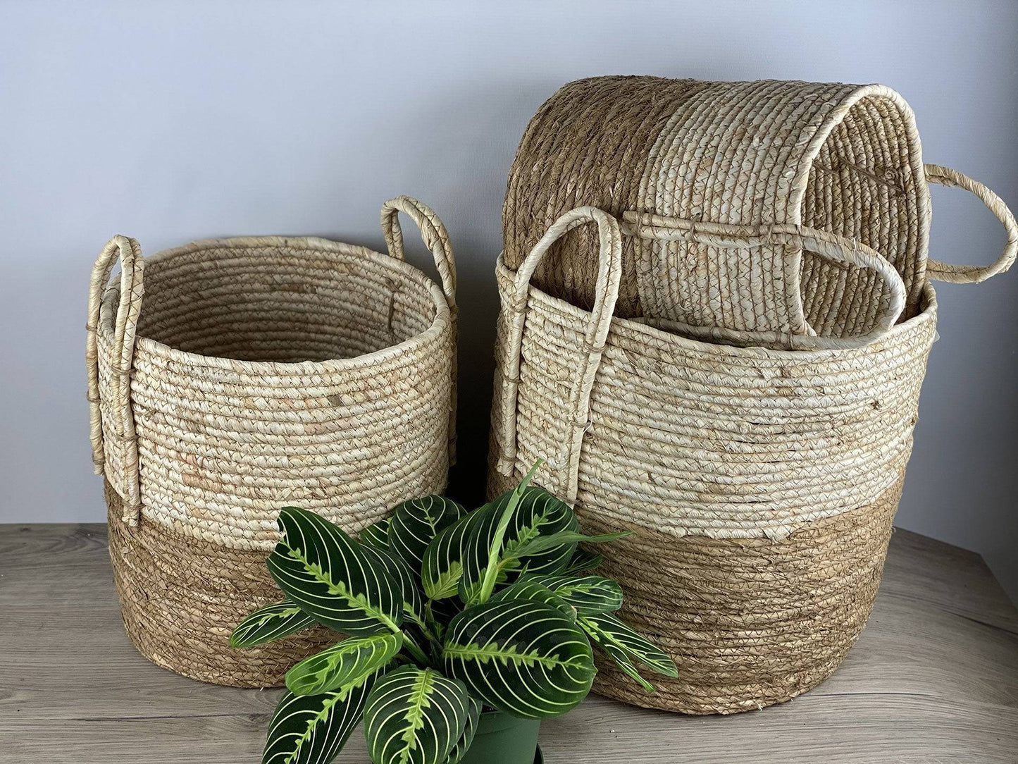 Handcrafted Seagrass indoor planter pots Basket for living room - Set of 3