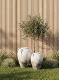 Terracotta Pots